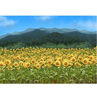 自分で服を作りたい！縫い代がついた型紙(設計図）だから初心者に