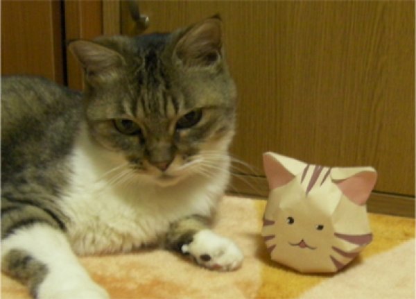 画像1: 【無料】ネコのペーパークラフト　ぬいぐるみの型紙にも使えるよ (1)